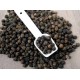 Black Pepper best price