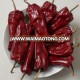 Good taste hot dry Beijing red chili/pepper at reasonable price